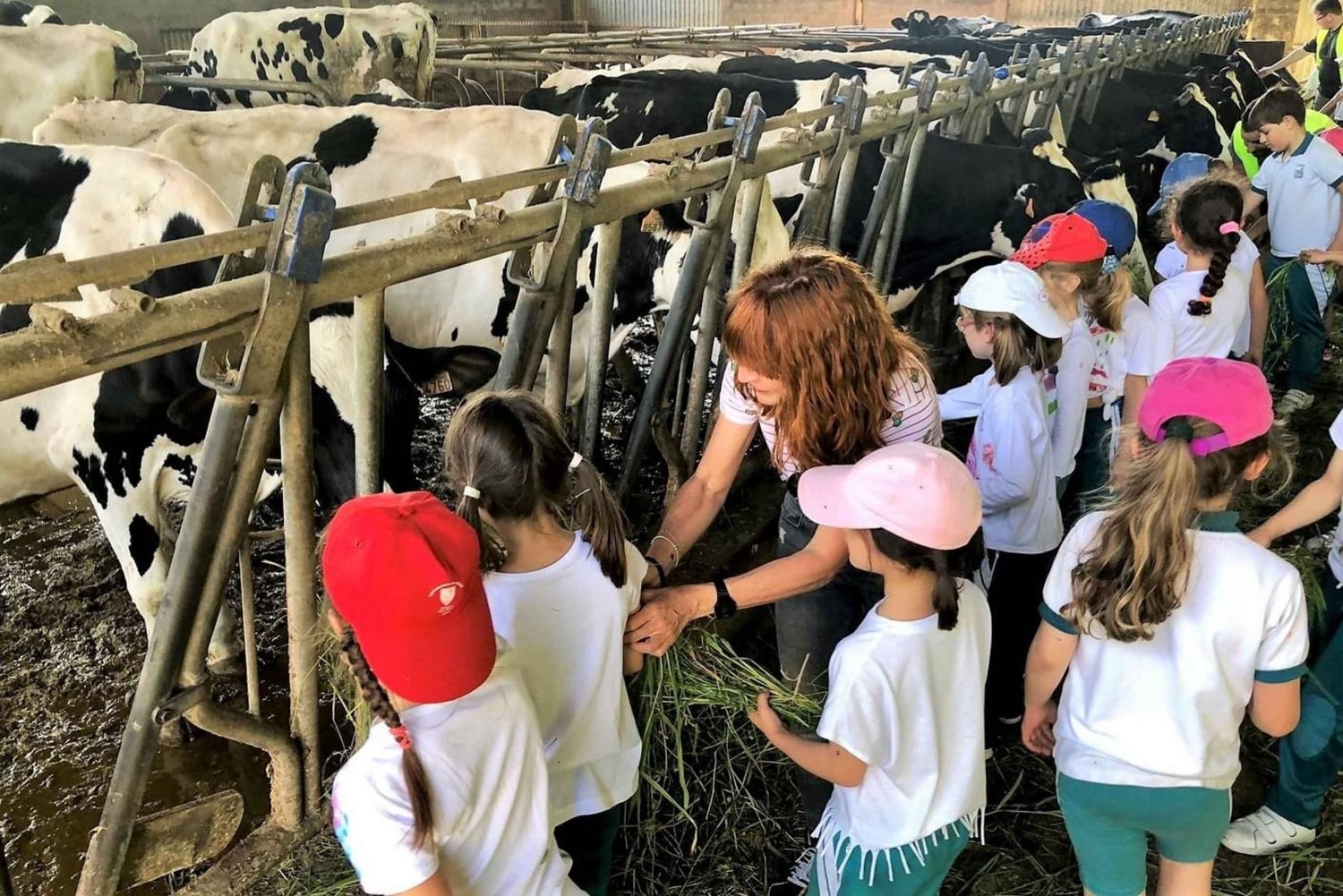 Moca: Farm Tour with Animal Feeding and Egg Collecting