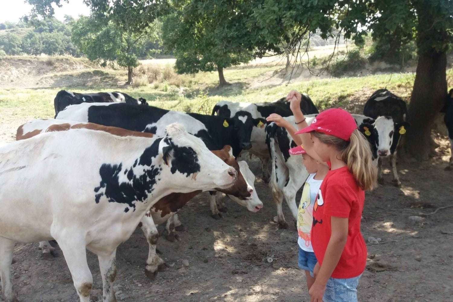 Moca: Farm Tour with Animal Feeding and Egg Collecting