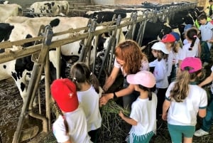 Moca: Farm Tour with Animal Feeding and Egg Collecting