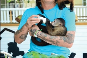 Monkey House VIP – En exklusiv upplevelse i Punta Cana