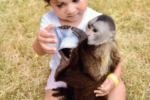 Monkey House VIP – ekskluzywne przeżycia w Punta Cana