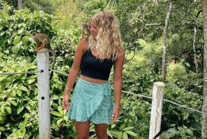 Tur i apejungelen + transport fra cruise/hotell