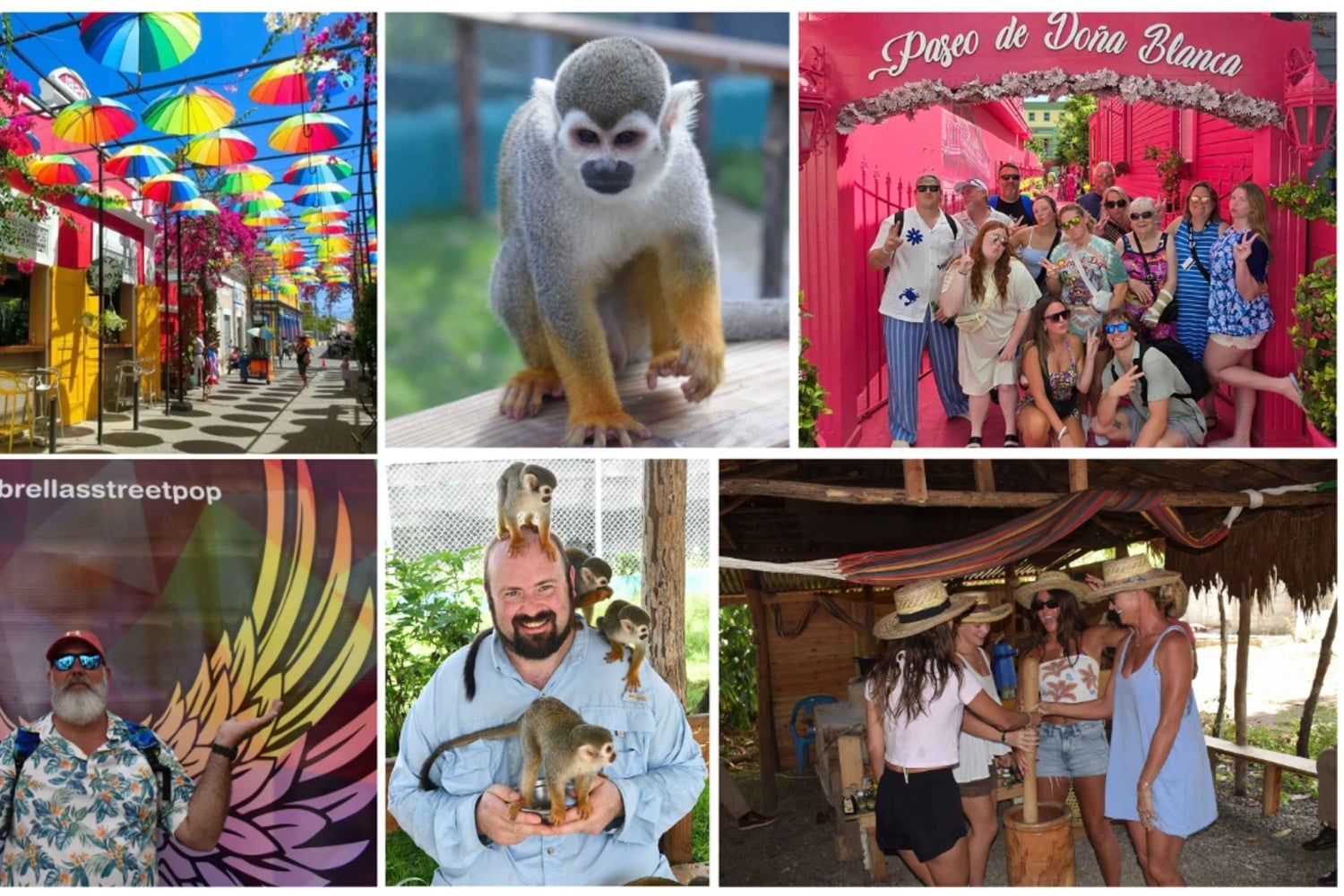 Interação com macacos e centro histórico (Puerto Plata)