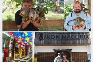 Interação com macacos e centro histórico (Puerto Plata)