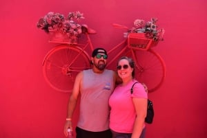 Interação com macacos e centro histórico (Puerto Plata)