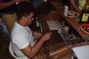 Interação com macacos e centro histórico (Puerto Plata)