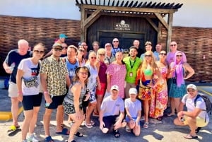 Interação com macacos e centro histórico (Puerto Plata)