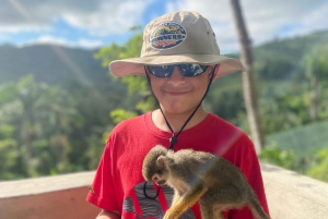 Experiencia en Monkeyland + Comida y transporte