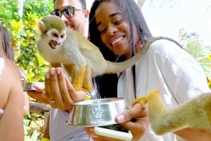 Encontro com macacos + aventura de quadriciclo – Puerto Plata