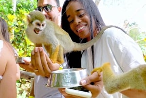 Experiencia en Monkeyland + Comida y transporte