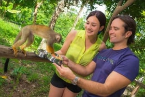 Monkeyland Punta Cana: Natural Jungle and Guided Safari Tour