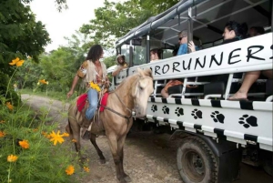 Monkeyland Punta Cana: Natural Jungle and Guided Safari Tour