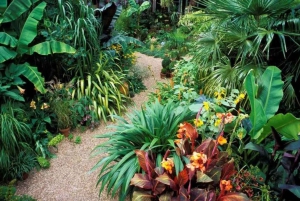 Monkeyland Punta Cana: Natural Jungle and Guided Safari Tour