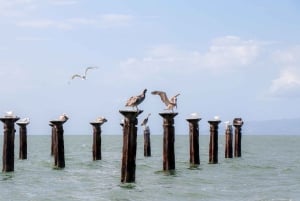 Parco Nazionale Los Haitises e Montaña Redonda da Bayahibe