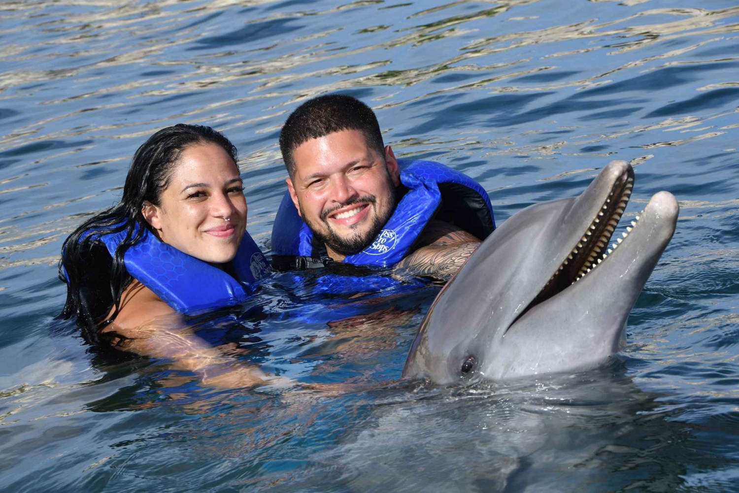 Ocean World Dolphin Swim & Sea Lion Combo from Puerto Plata