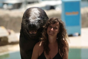 Ocean World Dolphin Swim & Sea Lion Combo fra Puerto Plata