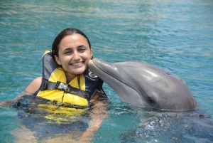 Ocean World Dolphin Swim & Sea Lion Combo fra Puerto Plata