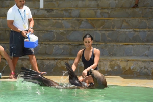 Ocean World Dolphin Swim & Sea Lion Combo fra Puerto Plata