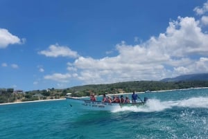 Paradise Island Private Tour +Snorkeling +Manatee Sanctuary