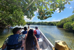 Excursión Privada Isla Paraíso +Snorkeling +Santuario de Manatíes
