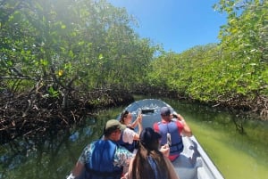 Excursión Privada Isla Paraíso +Snorkeling +Santuario de Manatíes