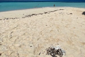 Visite privée de l'île paradisiaque