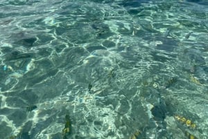 Visite privée de l'île paradisiaque