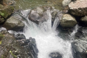 Secret Paradisiac Waterfall Near the City