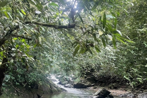 Secret Paradisiac Waterfall Near the City