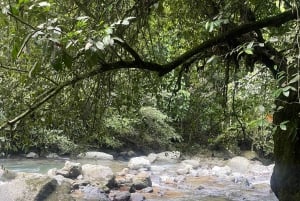 Heimlicher paradiesischer Wasserfall in der Nähe der Stadt