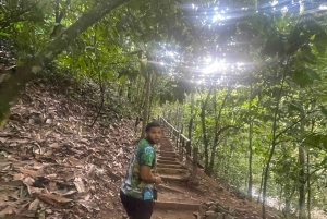 Cascada Paradisíaca Secreta Cerca de la Ciudad