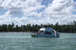 Fiesta en Barco / Catamarán en Punta Cana