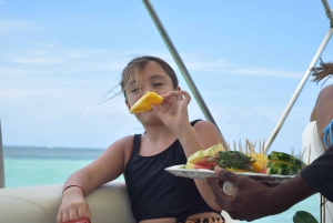 Fiesta en Barco / Catamarán en Punta Cana