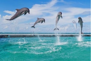 Party Boat à Punta Cana avec boissons incluses