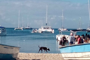 Barco de festa