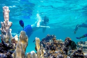 Aventura num catamarã: Mergulha e diverte-te na praia de Bávaro!