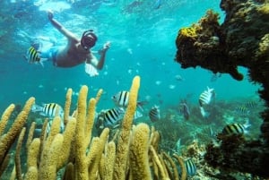 Aventura num catamarã: Mergulha e diverte-te na praia de Bávaro!