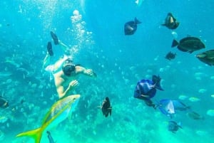 Äventyr med festkatamaran: Snorkling och skoj i Bavaro Beach!