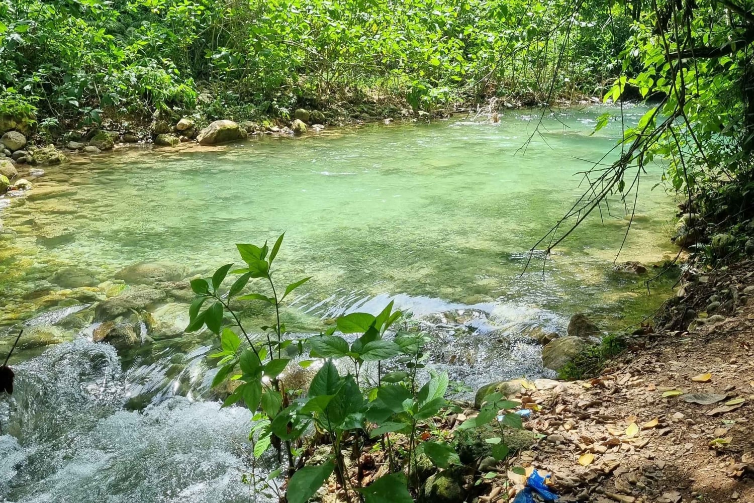 Pedernales Natural: Mulito River & Banano Confluence Excursion