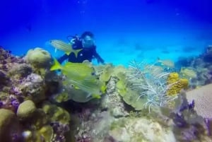 Playa Blanca: Dykkertur med utstyr