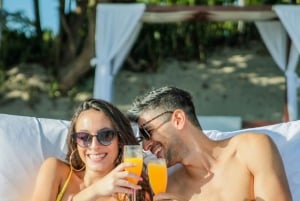 Puerto Plata: Monkeyland, Damajagua-vandfaldet og buggy-eventyr