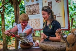 Puerto Plata: Monkeyland, Damajagua-vandfaldet og buggy-eventyr