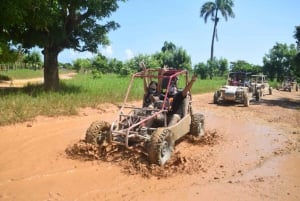 Playa El Valle Adrenaline Adventure on Buggy from Samana