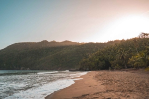 Playa El Valle Adrenaline Adventure on Buggy from Samana