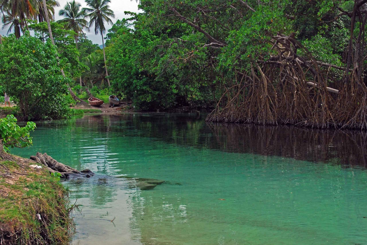 Playa Rincon Safari-Abenteuer ab Samaná für Kreuzfahrtschiffe