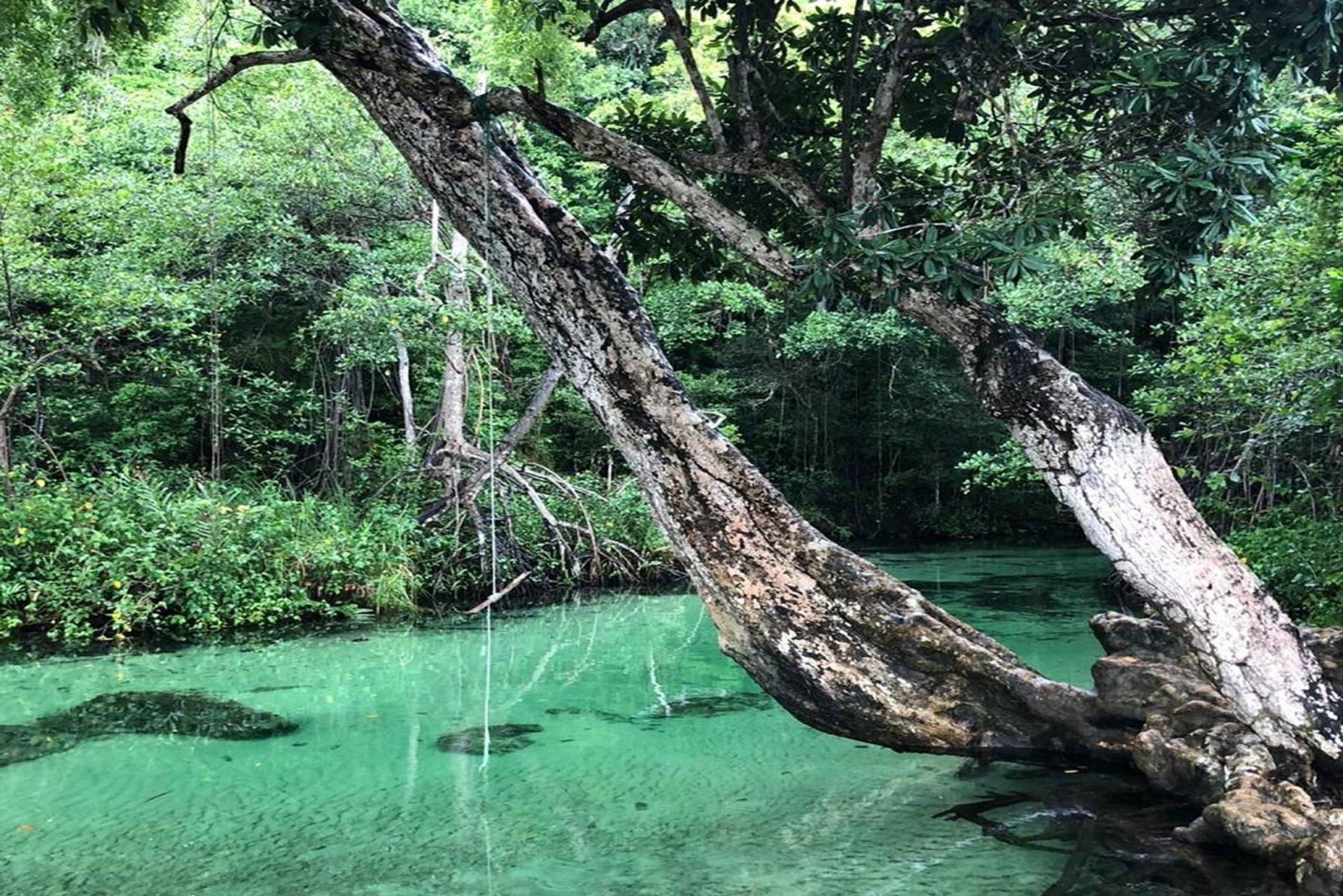 Playa Rincon Safari-Abenteuer ab Samaná für Kreuzfahrtschiffe