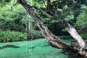 Playa Rincon Safari-Abenteuer ab Samaná für Kreuzfahrtschiffe