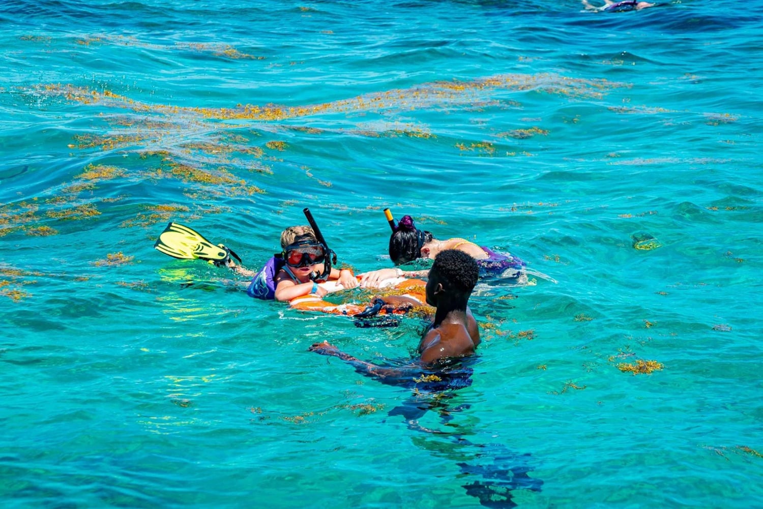 Power Cruise Tour con snorkeling