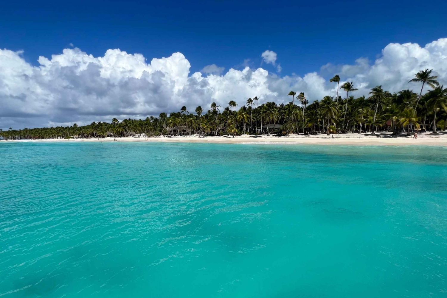 Premium Saona Island from Punta Cana
