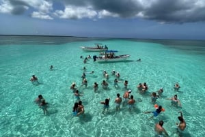 Premium Saona Island from Punta Cana